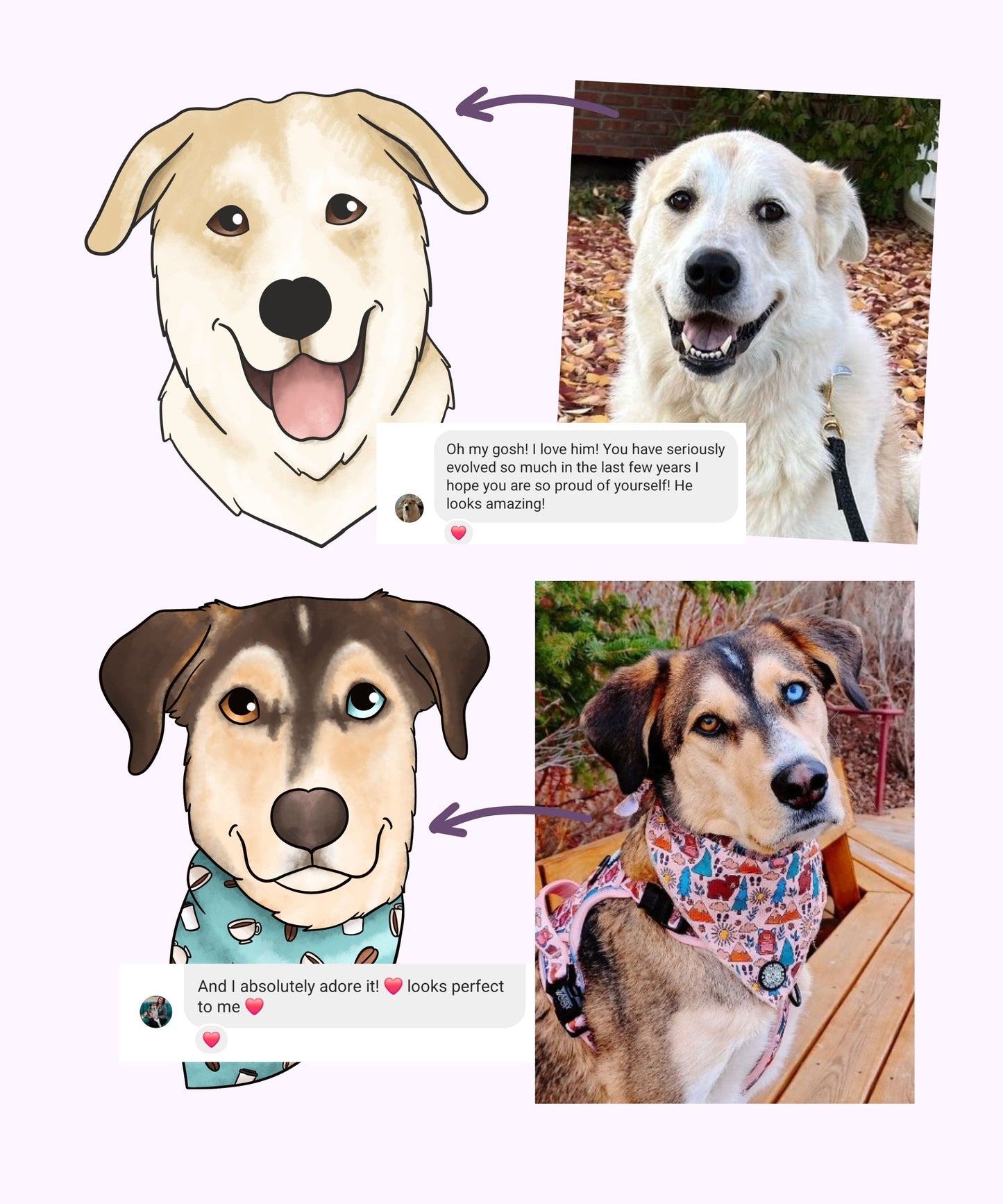 Pet Portrait on Canvas