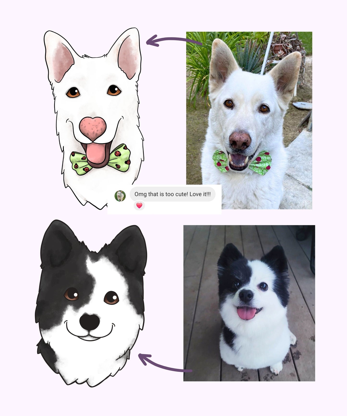 Pet Portrait on Canvas