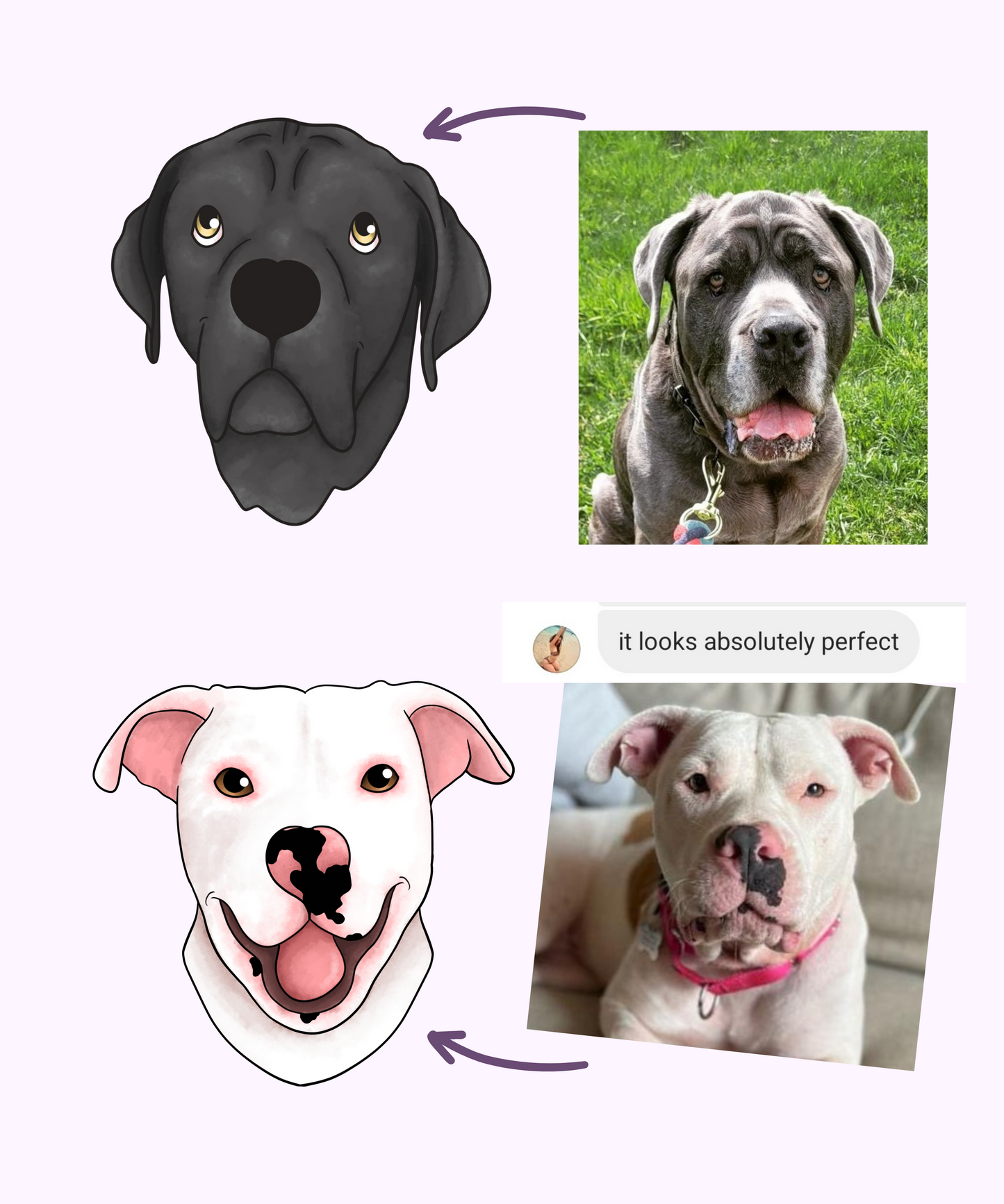 Pet Portrait on Poster