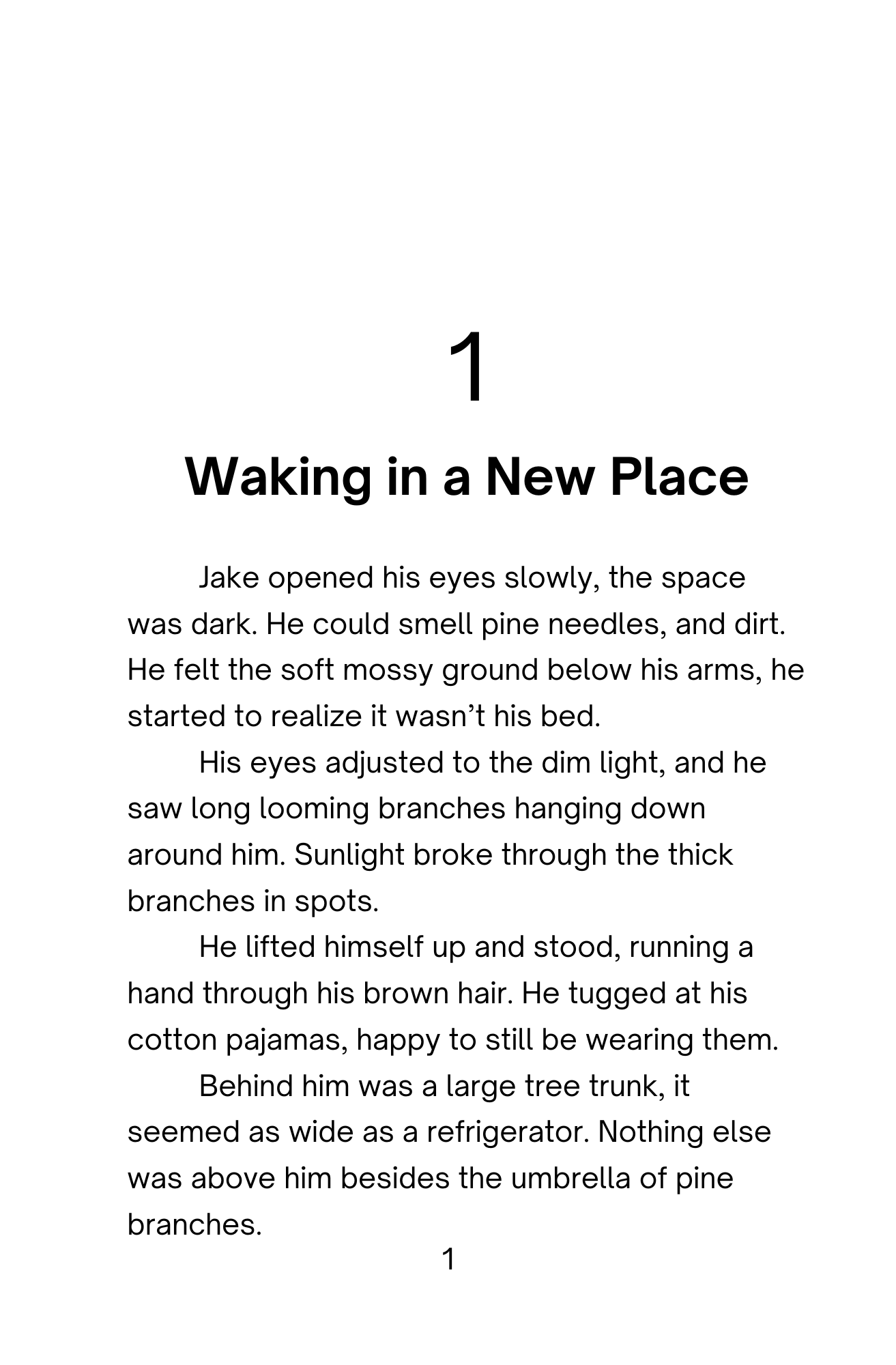 Pre-Order: Jake's Journey Ages 6-12 (Physical Book)