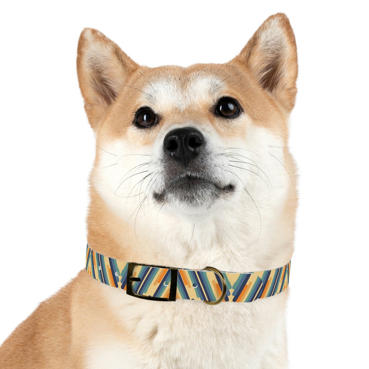 Retro Vibes - Dog Collar