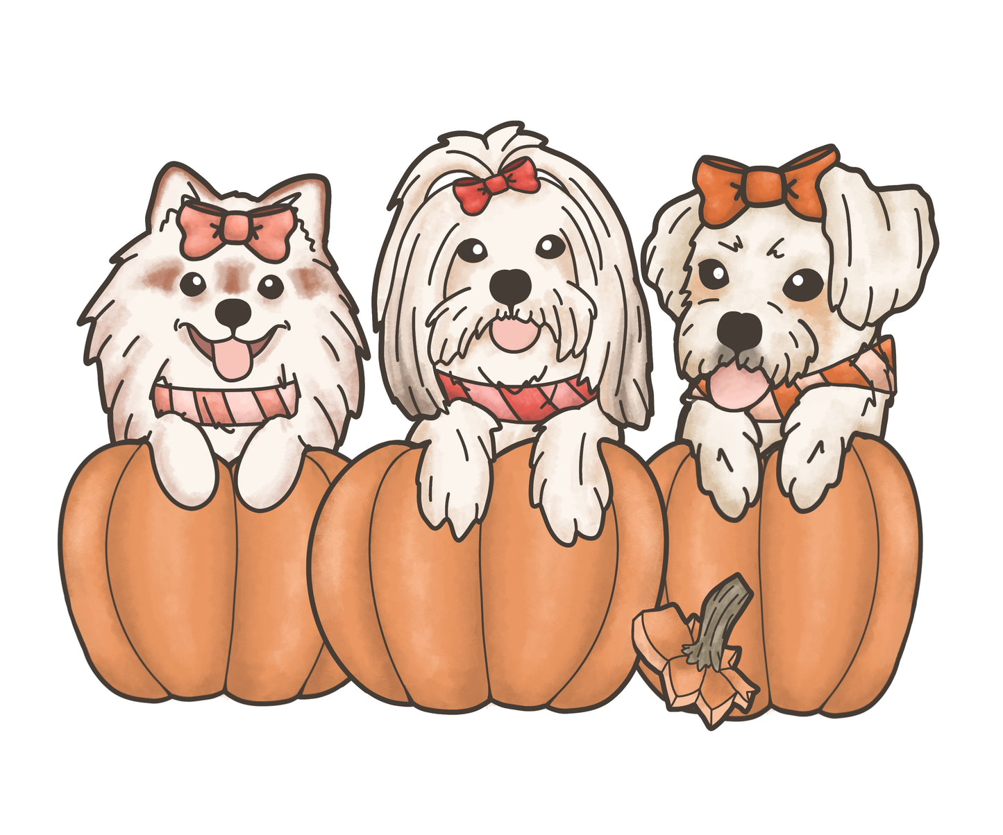 In Pumpkin - Pet Portraits