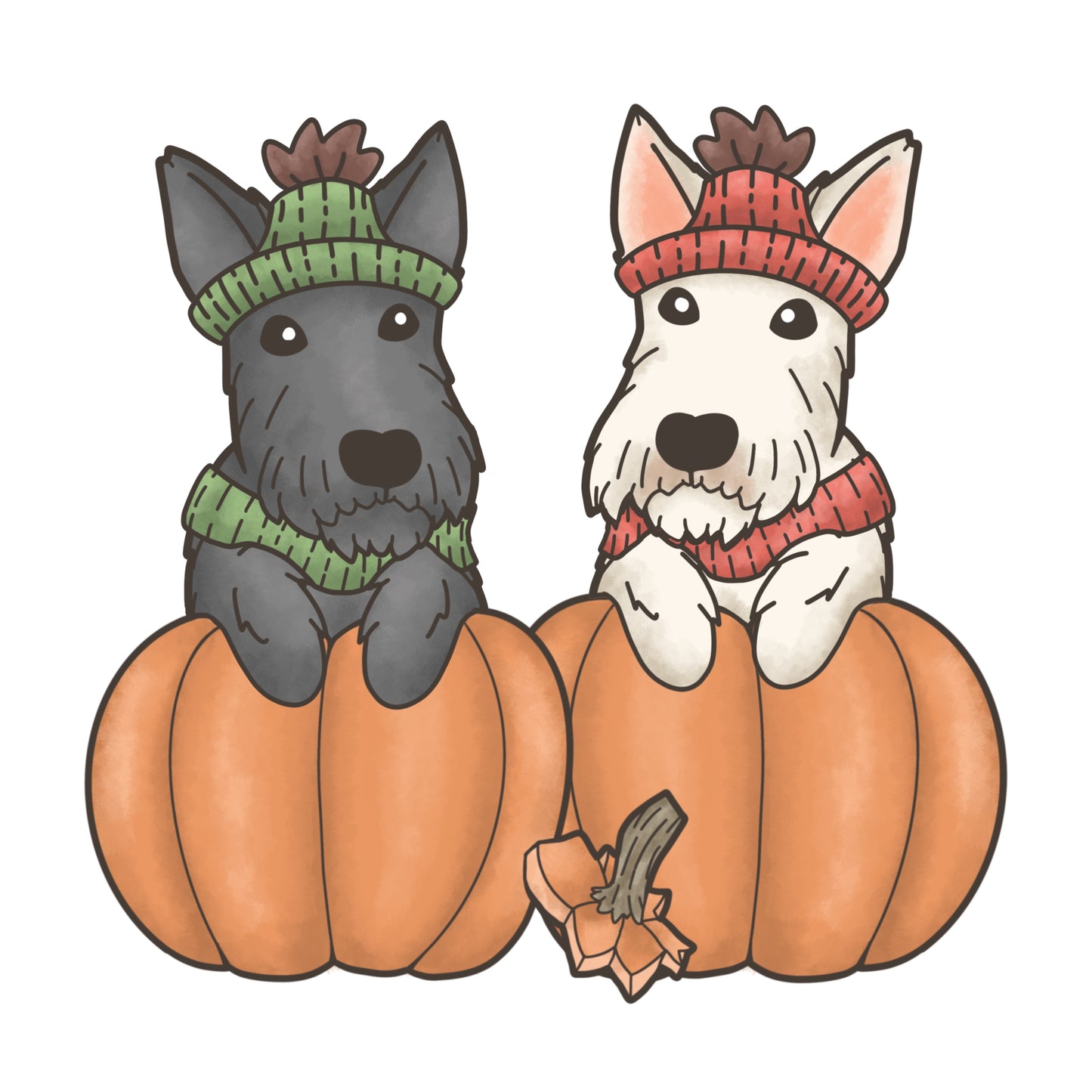 In Pumpkin - Pet Portraits