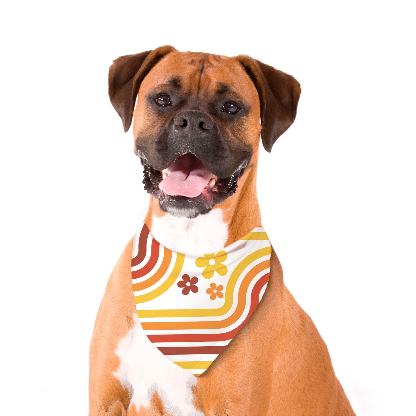 Large Groovy Pet Bandana (Tie On)